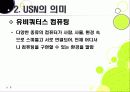 [USN]usn(유비쿼터스 센서 네트워크) 기술의 이해, usn(유비쿼터스 센서 네트워크) 응용사례와 다양한 활용분야, usn(유비쿼터스 센서 네트워크) 적용의 문제점과 역기능 해결을 위한 대책 8페이지