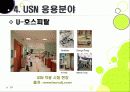 [USN]usn(유비쿼터스 센서 네트워크) 기술의 이해, usn(유비쿼터스 센서 네트워크) 응용사례와 다양한 활용분야, usn(유비쿼터스 센서 네트워크) 적용의 문제점과 역기능 해결을 위한 대책 29페이지