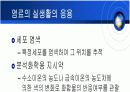 머리염색의원리응용화학 13페이지