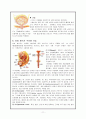 비뇨기계 구조와 기능 11페이지