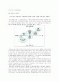 [브랜드마케팅]아모레퍼시픽 ‘설화수’ 마케팅전략 및 성공요인 분석 (A+리포트) 16페이지