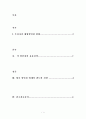 국내 할인점의 현황 및 전망 1페이지