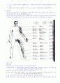 Spinal Cord Injury(척수손상) 3페이지