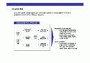 한국무역의 이해와 발전전략 24페이지
