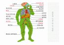 [담배] 흡연,금연, 니코틴 중독 관련 교육,발표 ppt 파워포인트 자료  14페이지