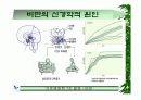 [PPT]비만과 운동처방 6페이지