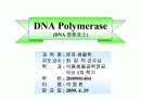 DNA Polymerase (DNA 중합효소) 1페이지