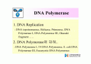 DNA Polymerase (DNA 중합효소) 2페이지