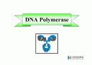 DNA Polymerase (DNA 중합효소) 6페이지