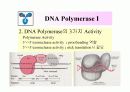 DNA Polymerase (DNA 중합효소) 10페이지