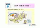 DNA Polymerase (DNA 중합효소) 12페이지