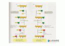 DNA Polymerase (DNA 중합효소) 23페이지