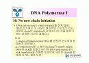 DNA Polymerase (DNA 중합효소) 24페이지