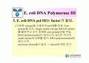 DNA Polymerase (DNA 중합효소) 40페이지