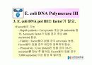 DNA Polymerase (DNA 중합효소) 42페이지