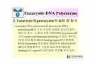 DNA Polymerase (DNA 중합효소) 47페이지