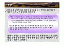 플라톤의 철학과 교육 14페이지