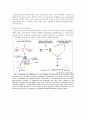 Helicobacter pylori(stringent response) 5페이지