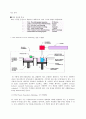 LD Scan Speed와 실제 실험 속도 비교(공작물과 CAD 데이터와의 오차분석, RP에 대한 전반적인 조사)  5페이지