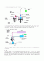 RP에 대한 전반적인 조사 4페이지