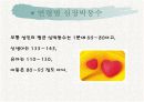 유아의 운동 능력 8페이지