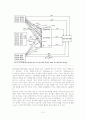 아동학대의 실태 및 영향 14페이지