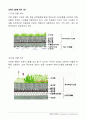 옥상녹화(옥상조경)시스템 이론과 사례-친환경건축 10페이지