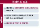 리바이스의 소비자행동분석 PPT 4페이지