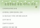 Maslow의 동기이론 설명 PPT 13페이지