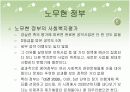 한국정부의사회발달과정-정부수립부터오늘날까지 26페이지