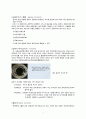 『부식(corrosion)의 정의, 3요소, 종류, 사례 및 방지』에 대하여 4페이지