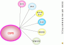 COPD(만성 폐쇄성 폐질환)  2페이지