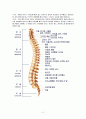 척추협착증(spinal stenosis) - 척추의 구조, 관련된 증상,ㄷ 대상자 적용, 연구기간 및 방법 2페이지