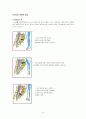 척추협착증(spinal stenosis) - 척추의 구조, 관련된 증상,ㄷ 대상자 적용, 연구기간 및 방법 3페이지