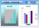 2005히트상품 진로소주 11페이지