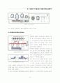 상보적 이원론을 통한 현대주거공간에서의 한국성표현에 관한 연구 87페이지