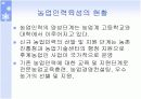 [A+]한국의 정예농업인 육성 PPT자료 11페이지