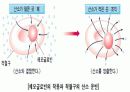 혈액에 관련된 학습지도 PPT자료 7페이지