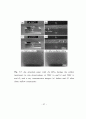 고온용 솔더 합금의 특성 및 신뢰성 평가  39페이지