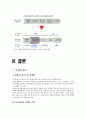 [유통관리론] CJ홈쇼핑 유통전략 및 성공요인 분석 (A+리포트) 11페이지