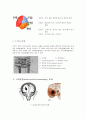 [간호과정]NICU(뇌출혈) 3페이지