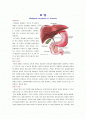 [성인간호학] 위암 케이스 스터디(case study) 1페이지