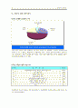 장애인 정보접근  18페이지