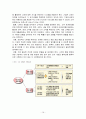 [서비스마케팅]베니건스의 CRM구축 사례분석  16페이지