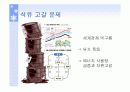 석유 고갈 문제를 포함한 에너지 부족에 따른 대체에너지 확보 현황과 앞으로의 대안 6페이지