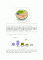 [미디어법] 미디어법 개정 이후의 문제점 및 전망 2페이지