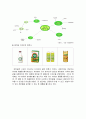 [기업사례분석] 『정식품 베지밀』(마케팅, STP, 4P 중심으로) 16페이지