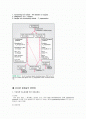 갑상샘유두암종(Papillary thyroid cancer) 2페이지