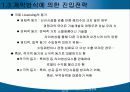 해외시장의 진입전략 22페이지