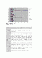 다문화 가족(가정)에 대하여 (결혼 이민자 가족) 11페이지